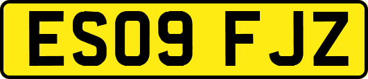 ES09FJZ