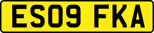ES09FKA