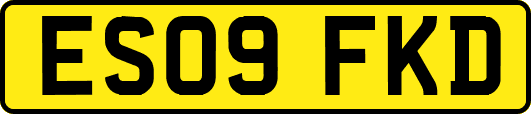 ES09FKD