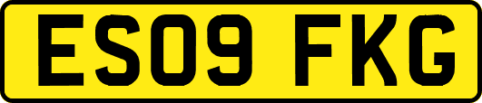 ES09FKG