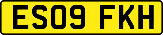 ES09FKH