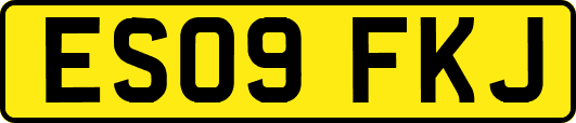ES09FKJ