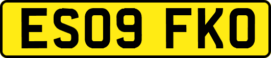 ES09FKO