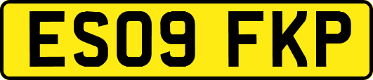 ES09FKP