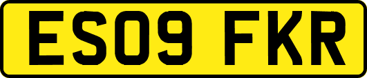 ES09FKR