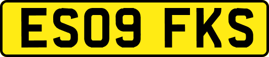 ES09FKS
