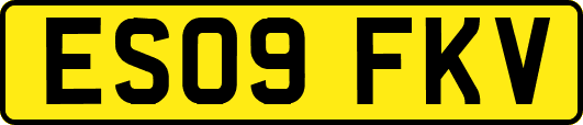 ES09FKV