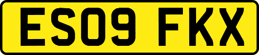 ES09FKX