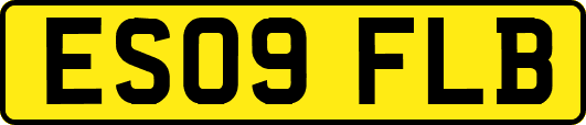ES09FLB