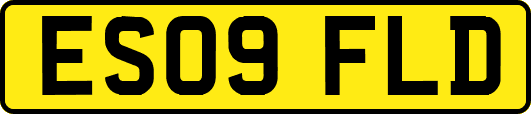 ES09FLD