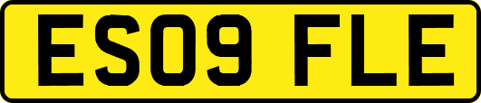 ES09FLE