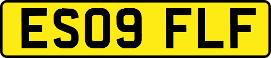 ES09FLF