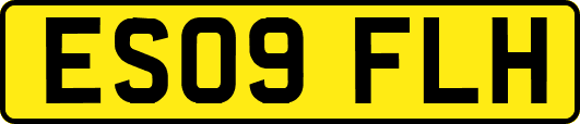 ES09FLH