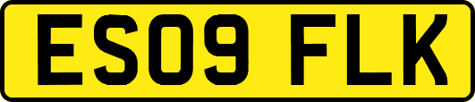 ES09FLK