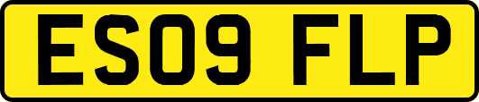 ES09FLP