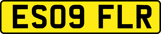 ES09FLR
