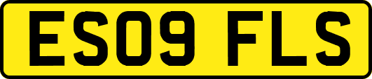 ES09FLS