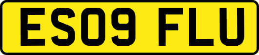 ES09FLU