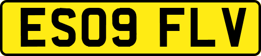 ES09FLV