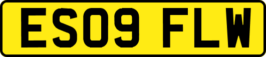 ES09FLW