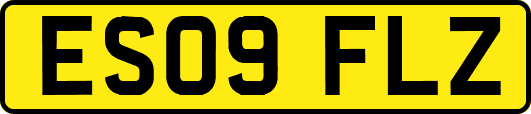 ES09FLZ