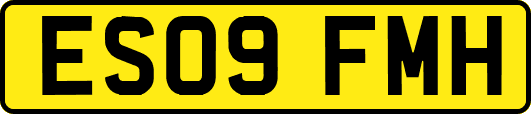 ES09FMH