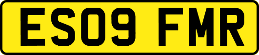 ES09FMR
