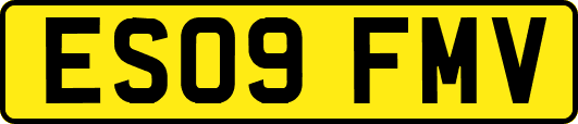 ES09FMV