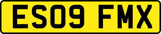 ES09FMX