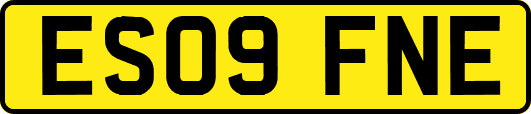 ES09FNE