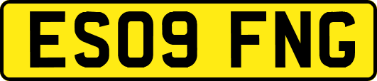 ES09FNG
