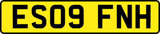 ES09FNH