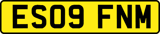 ES09FNM