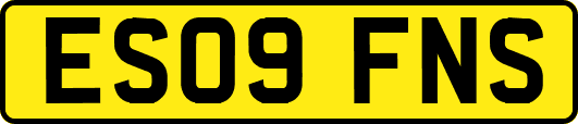ES09FNS