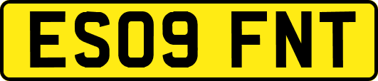 ES09FNT