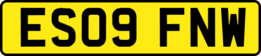 ES09FNW