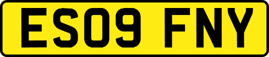 ES09FNY