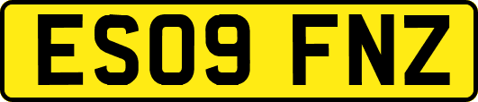 ES09FNZ