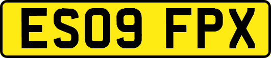 ES09FPX