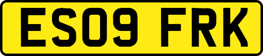 ES09FRK