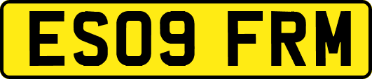 ES09FRM