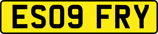 ES09FRY