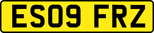 ES09FRZ