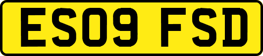 ES09FSD