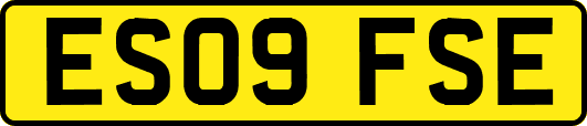 ES09FSE