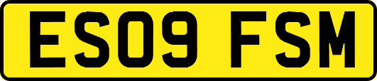 ES09FSM