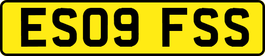 ES09FSS