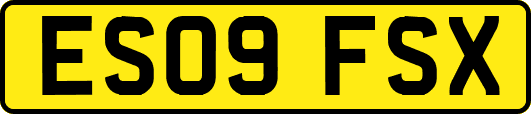 ES09FSX