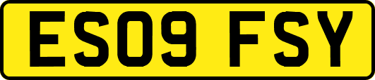 ES09FSY