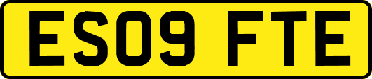 ES09FTE
